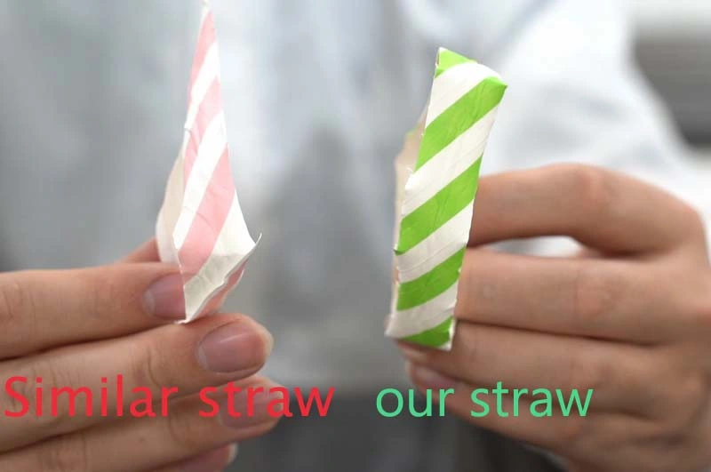 Disposable Bamboo Biodegradable One Time Straws Paper Drinking Straws
