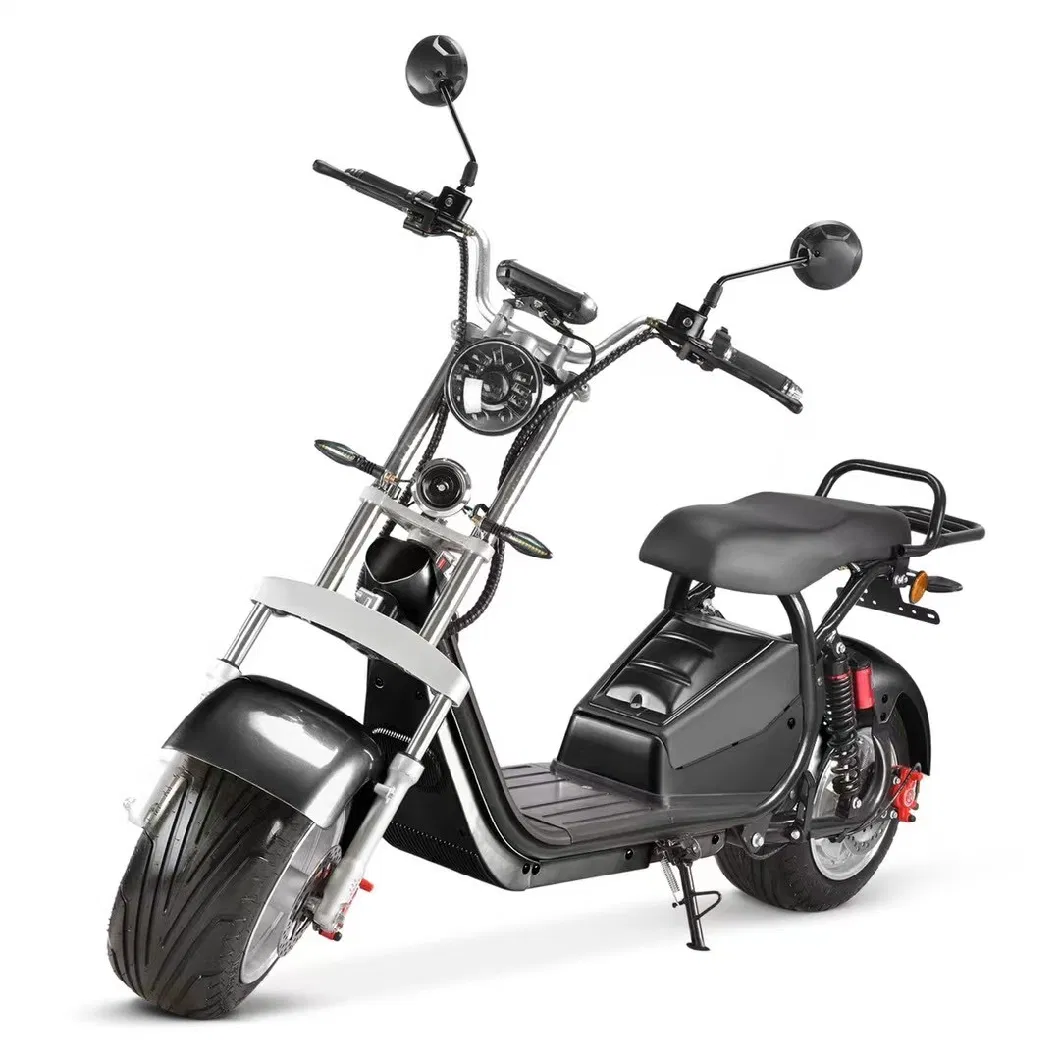 Electric Scooter with off Road Fat Tire Electric Citycoco 1500W with Removable Lithium Battery for Adults