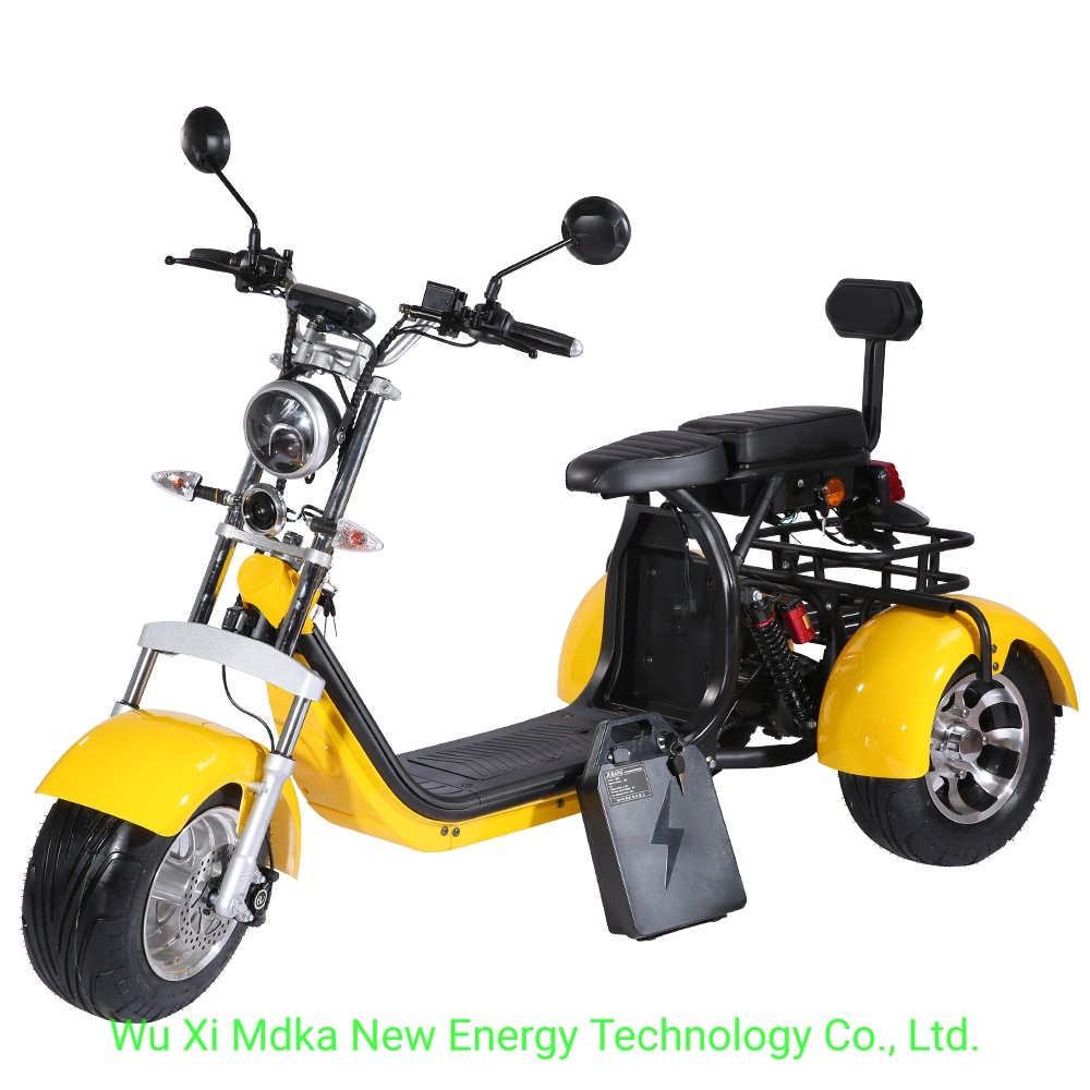 2023 EEC/Coc Certificated Electric Tricycles 3000W Double Seat 3 Wheel Electric Scooters Citycoco