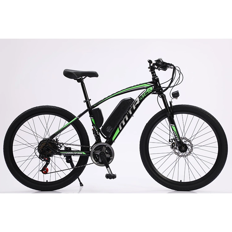 OEM Factory Wholesale Fat Tire Electric Bike with Disc Brake