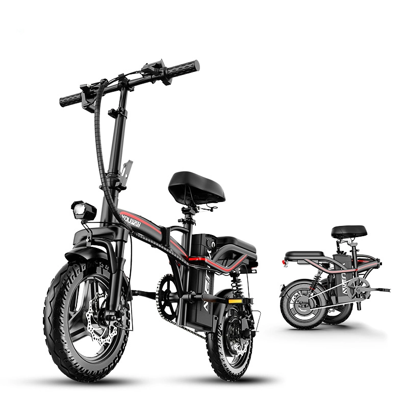 Aluminum Alloy Frame Double Disc Brake portable and Foldable Electric Bike