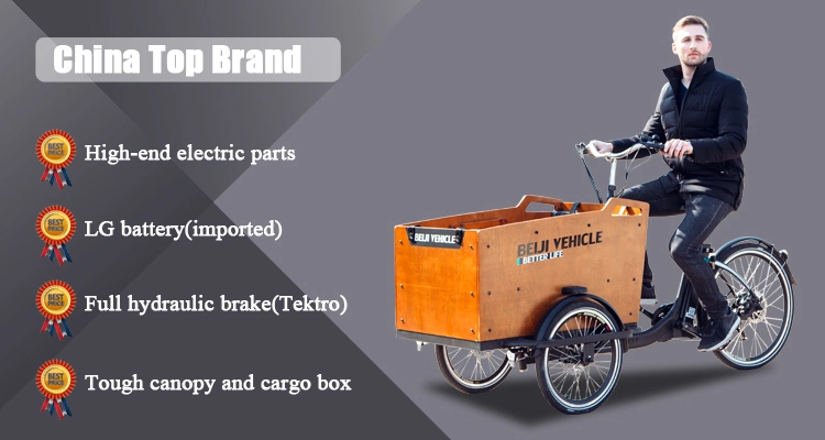 Cargo Bike with Wooden Box Electric Version Tricycle for Carry Children