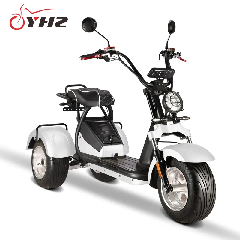 EEC 4000W Three Wheel Citycoco Electric Scooter 4000W Dual Motor Adult Trike