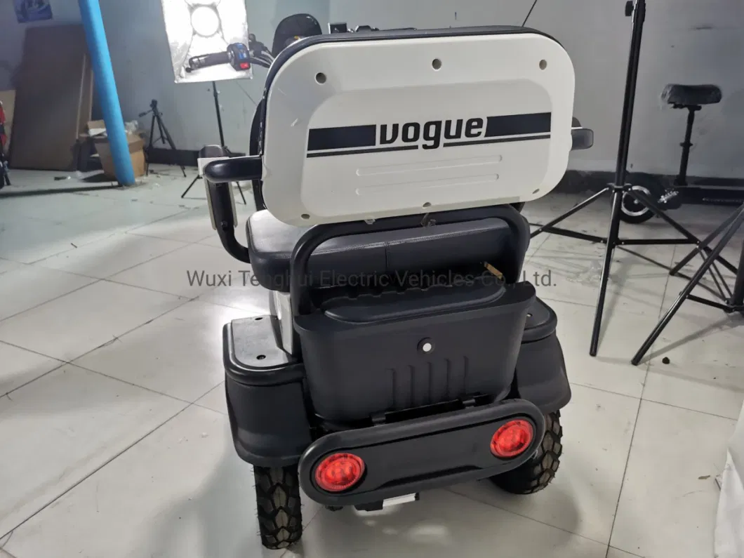Engtine Chinese 3 Wheels Adults 1000W Electric Motorcycle Electric Tricycles CKD Mobility Scooters