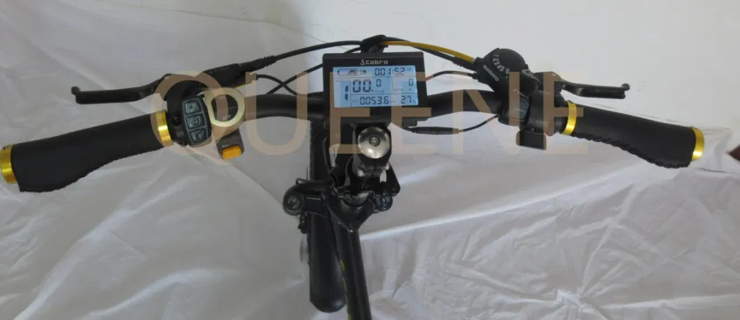 Queene China Cheap 36V Lithium Lightweight Ebike Small Mini E Bike Electric Folding Bicycle