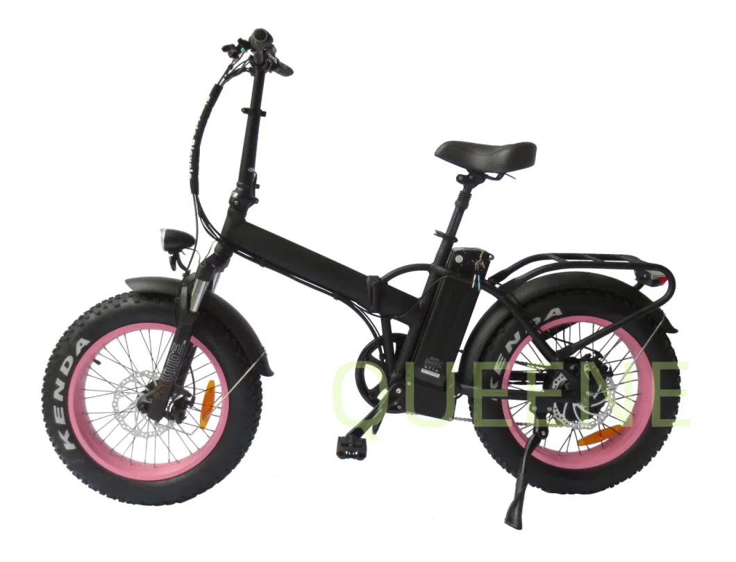 Adjustable Fat Tire Electric Bike Ebike Folding Electric Bicycle Bicicleta