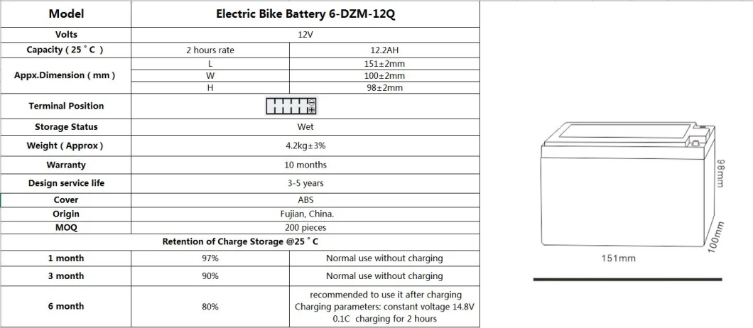 TCS Bike E-Bike Electric Battery 6-DZM-12Q