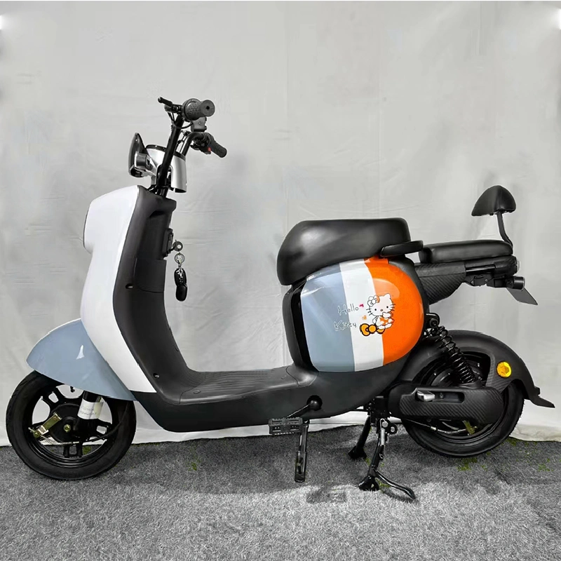 2022 Hot Selling Chinese Electric Bike Adults Electric Bicycle