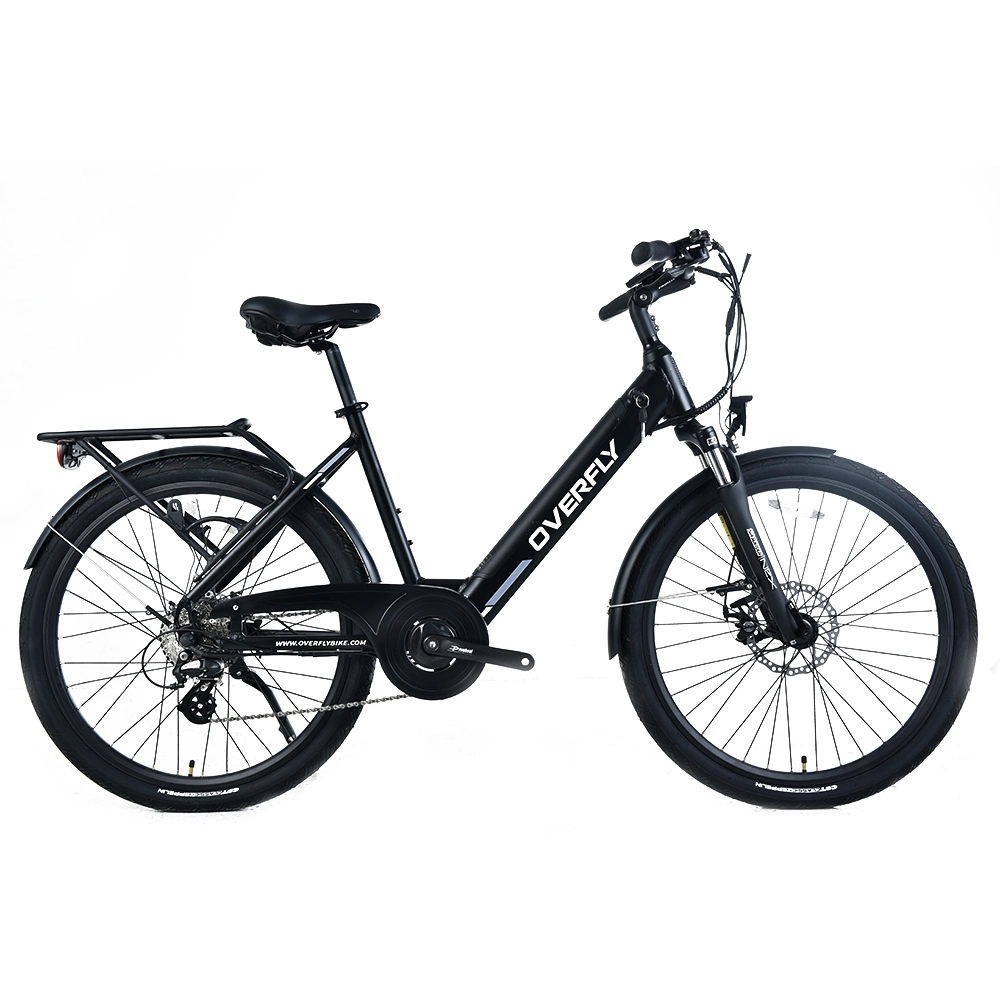 2023 New Step-Thru Ebike Electric City Bike Female Electric Bikes for Sale