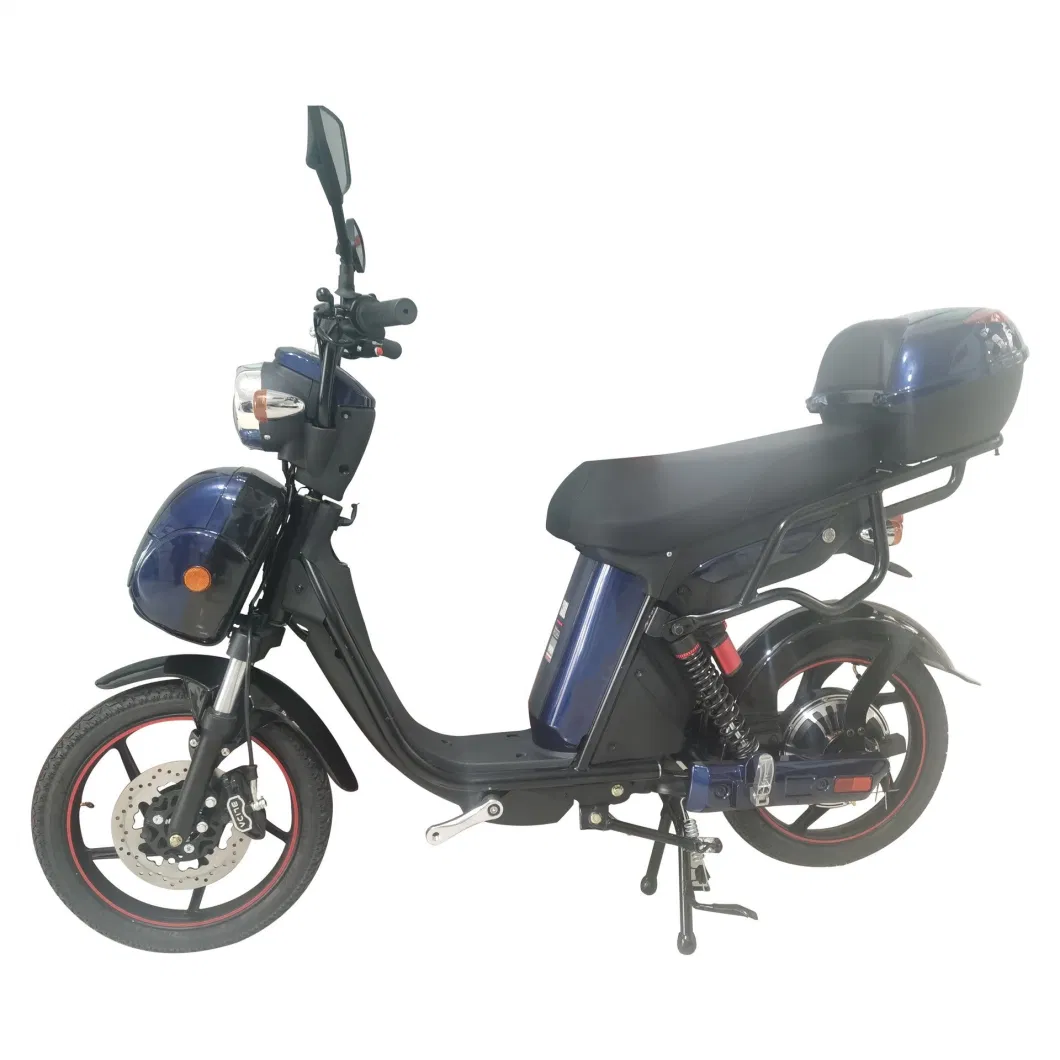 Weiyun 2023 Autumn Updated Electric Bike for Adult Outgoing