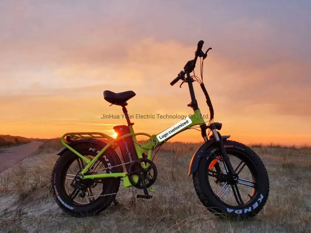 New Design Electric Foldable Bicycle Electric Bike En15194 Approved
