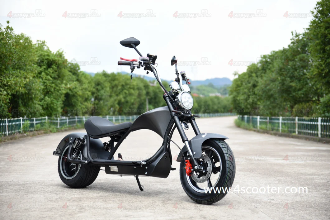 Wholesale EEC 2 Wheel Fat Tyre Citycoco 350W Best Electric PRO Scooters