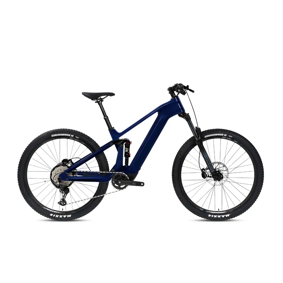 Ultralight Carbon Frame Mountain E Bike Battery Removable Rochshox M820 Electric Bicycle Bike