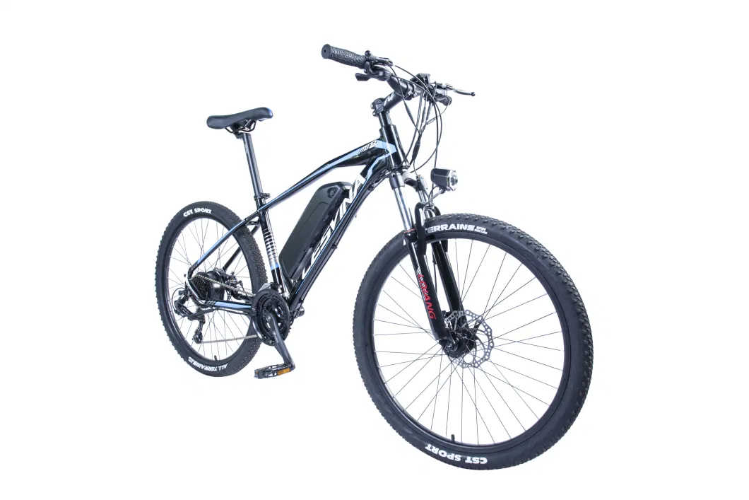 36V Lithium Battery Bicycle 300W Mountain Electric Bike