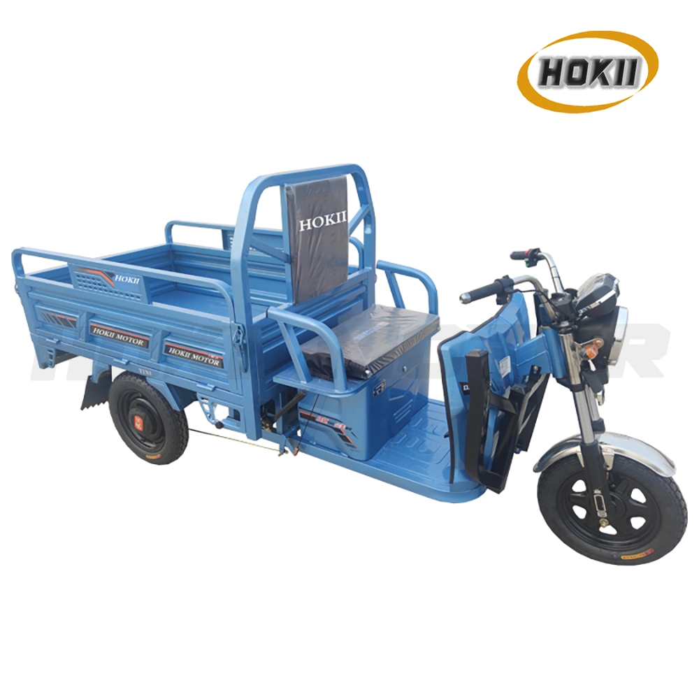 China Manufacturer Good Quality Cargo Transport 1000W Motor E-Bike Electric Tricycle Three Wheeler Motorcycle Triciclo Electrico Vehicle for Sale