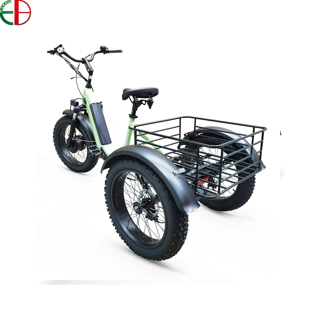 250W 3 Wheel Electric Tricycle Electric Motorcycle Electric Scooter Electric Tricycle