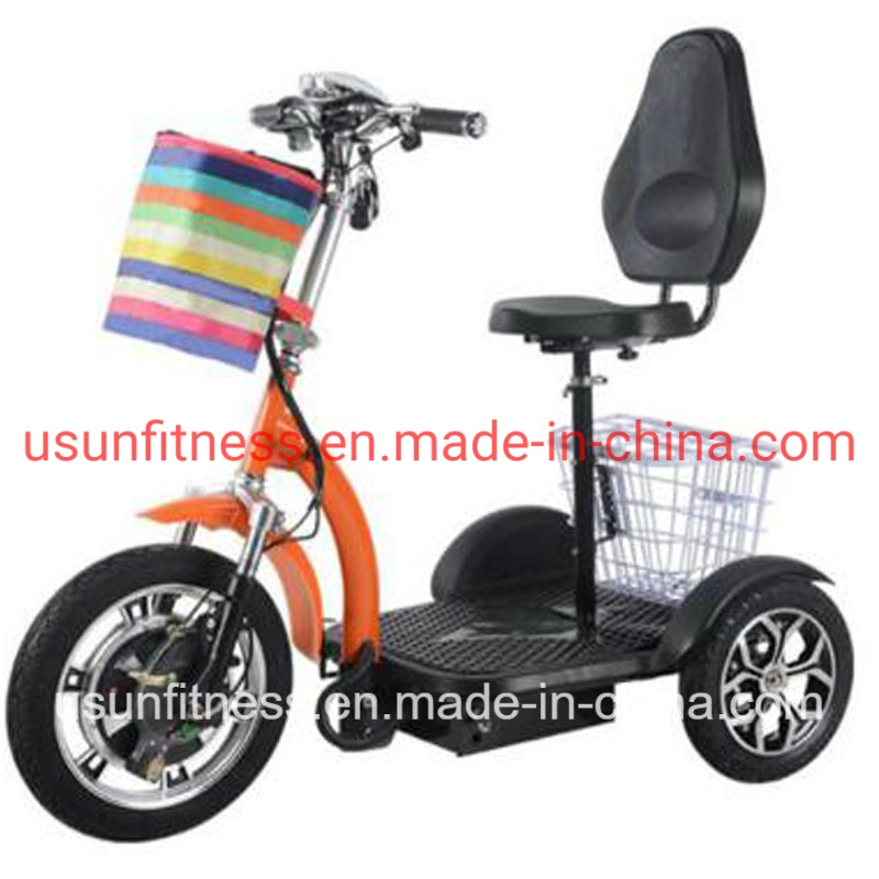 3 Wheel Electric Mobility Scooter Three Wheels Electric Motorcycle Scooter with CE