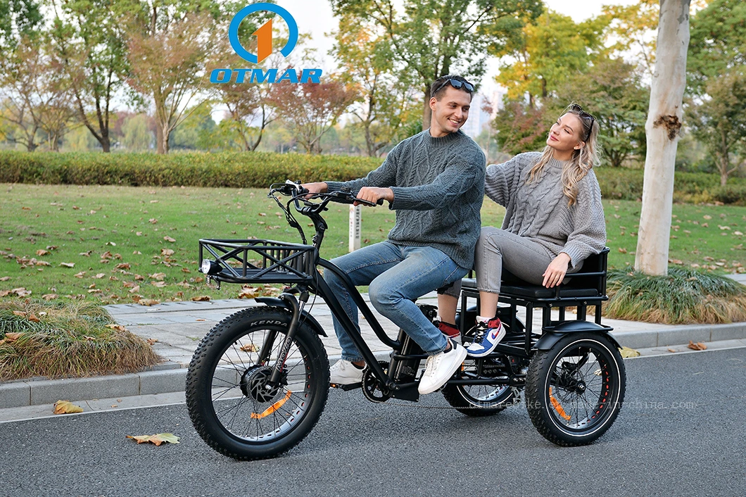 24inch Cargo Electric Tricycle Framily Front Drive 2 Person Electric Tricycle