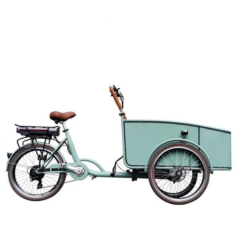 Wooden Frame Electric Adult Tricycle Trends 3 Wheels Dutch Cargo Bike Family Bicycle Kids Scooter for Sale