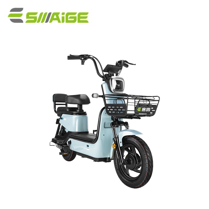 Saige High-Performance Cheaper Electric Bicycle with 800W Motor