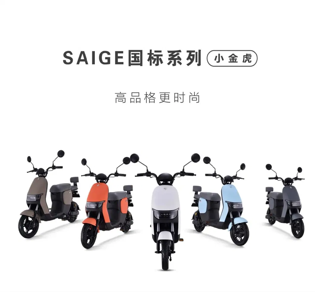 New EEC Electric Scooter with Pedal Comfortable Electric Motorbike for Woman