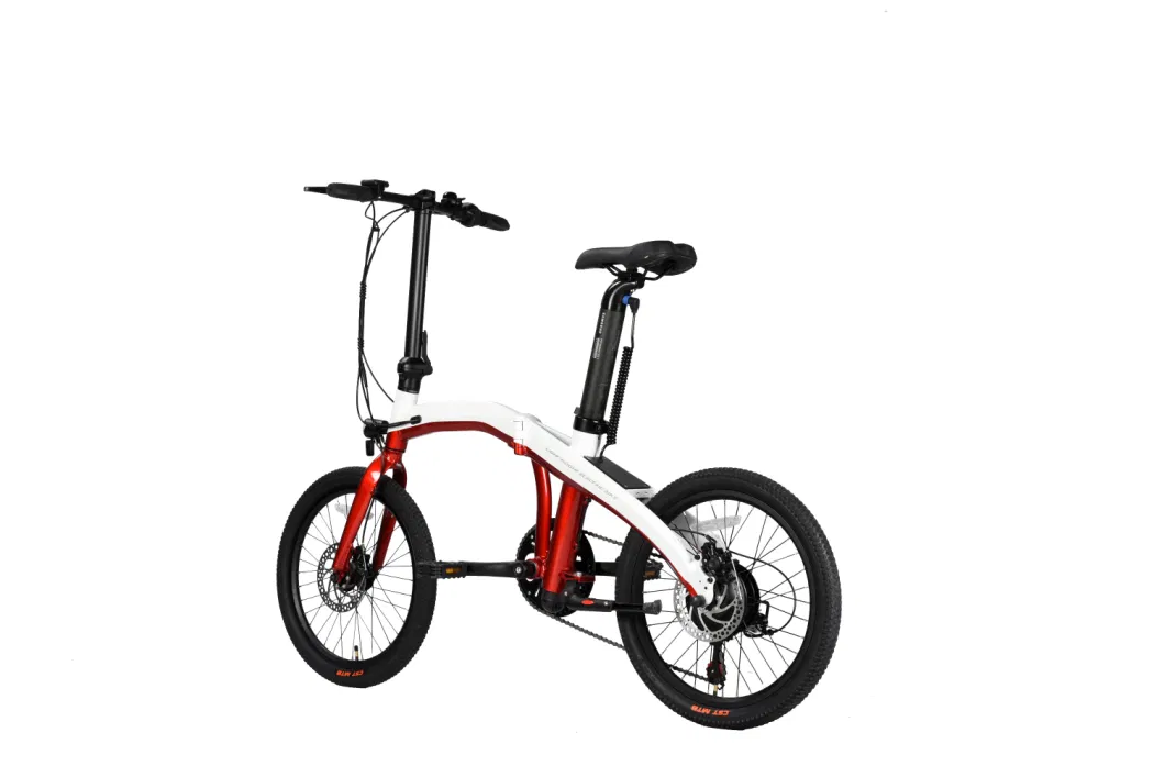 Electric Bike Electric Bicycle Folding Bike Elctric Motorcycle Mobility 36V 7.8ah 500W