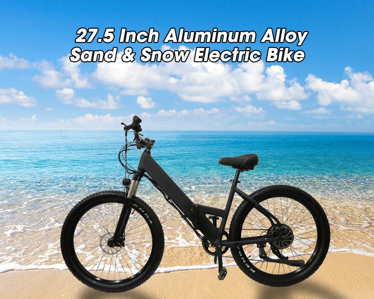 Electric Motorbike 27.5*3 48V 14ah Ebike Road Dirt Bike Electric MTB Bicycle Ebicycle OEM