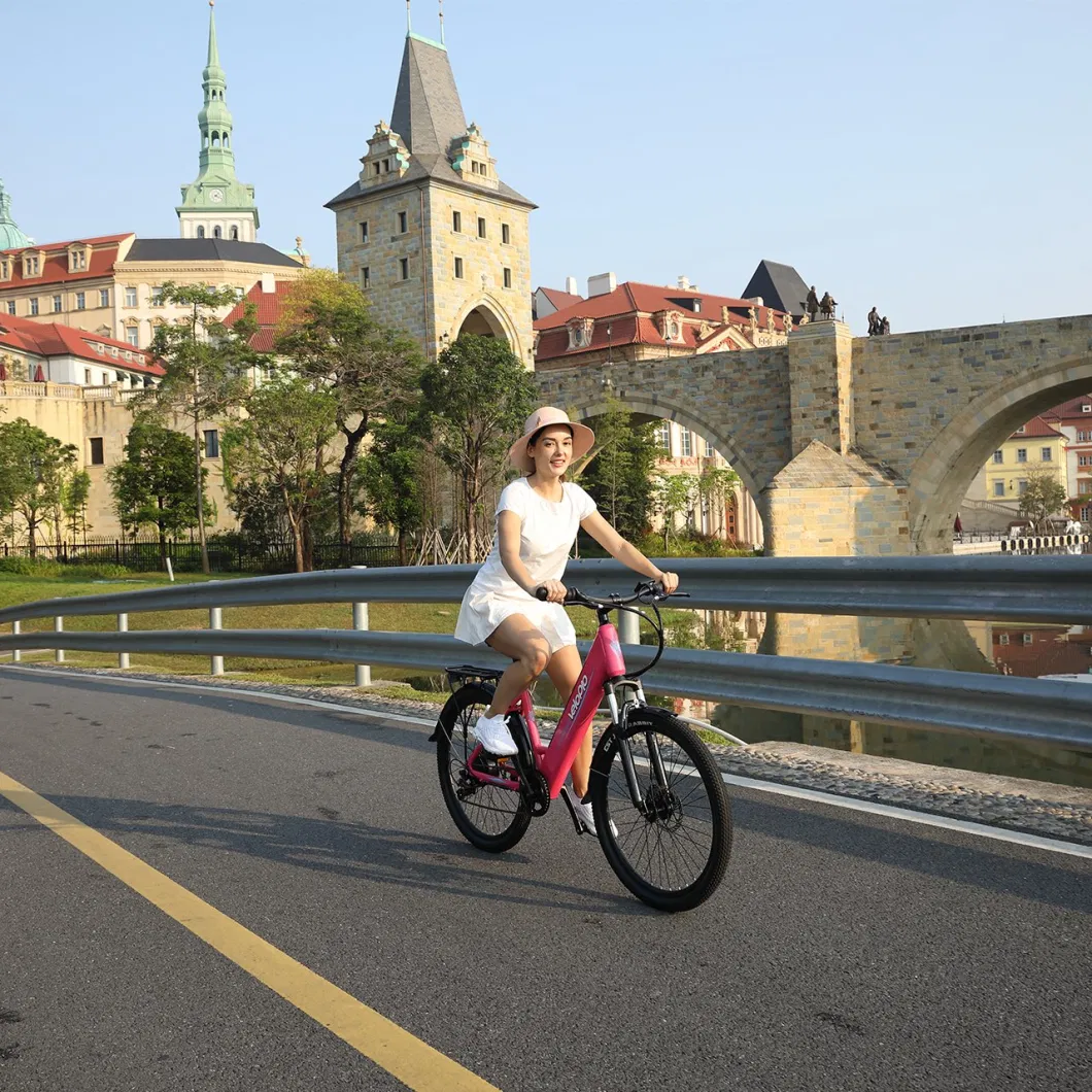 Adult Electric Bike with Suspension Fork