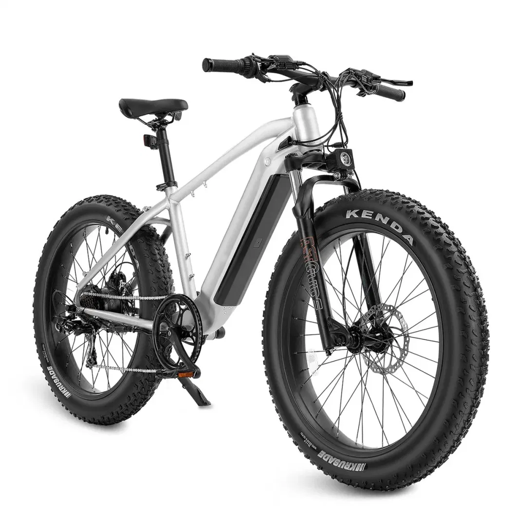 Motor Electric Mountainbike Full Suspension Electric Bike 48V 1000W