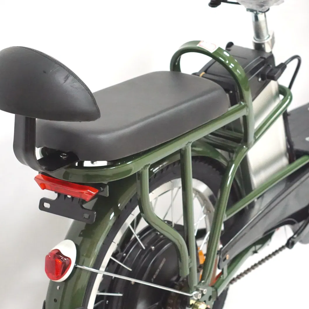 Bfz Urban Leisure Electric Bicycle Double Seater City E-Bike Scooter
