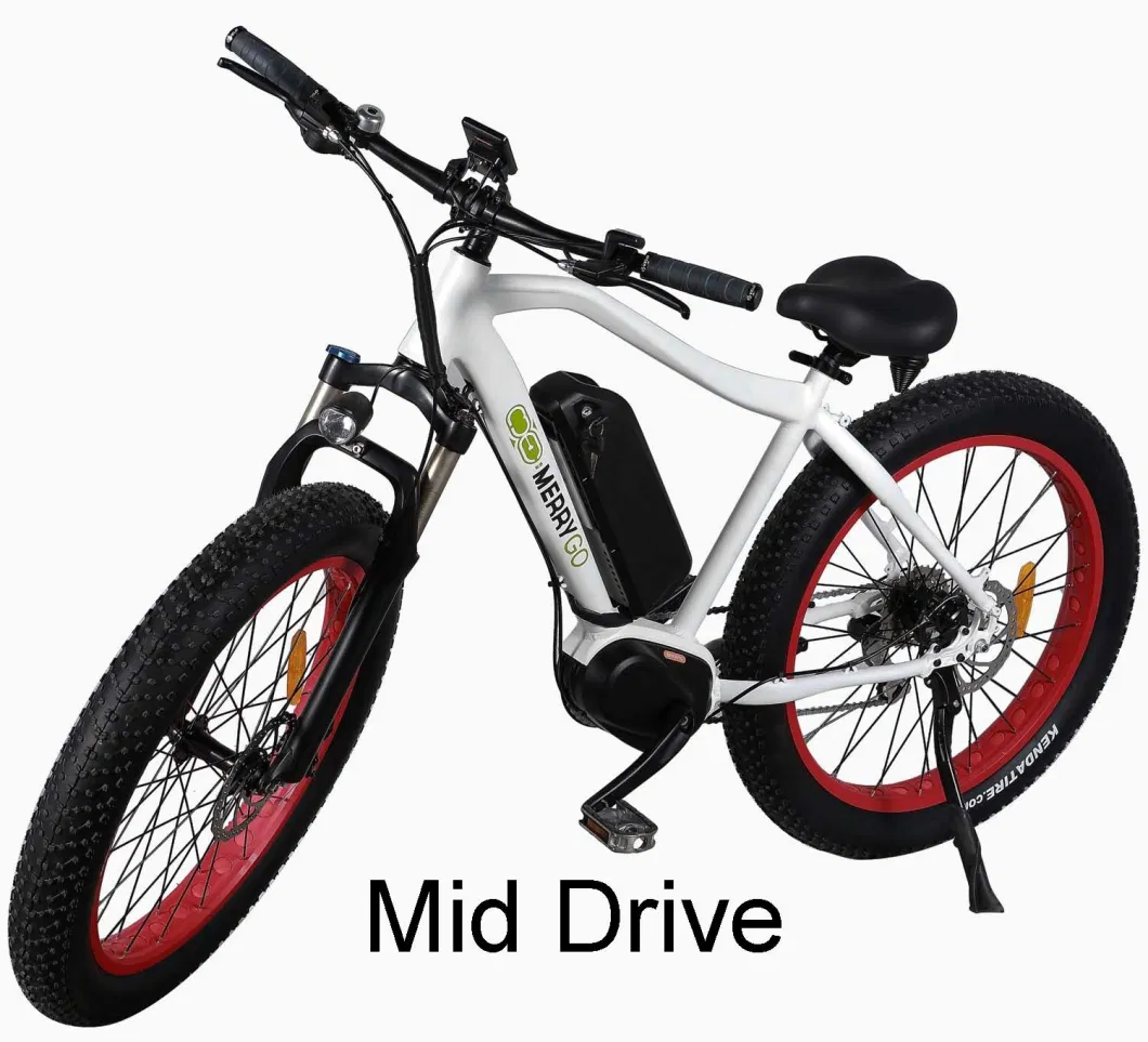 Long Range 60km Bicycle Electric Bike 750W Us Fat Tire Electric Mountain Bike with Battery