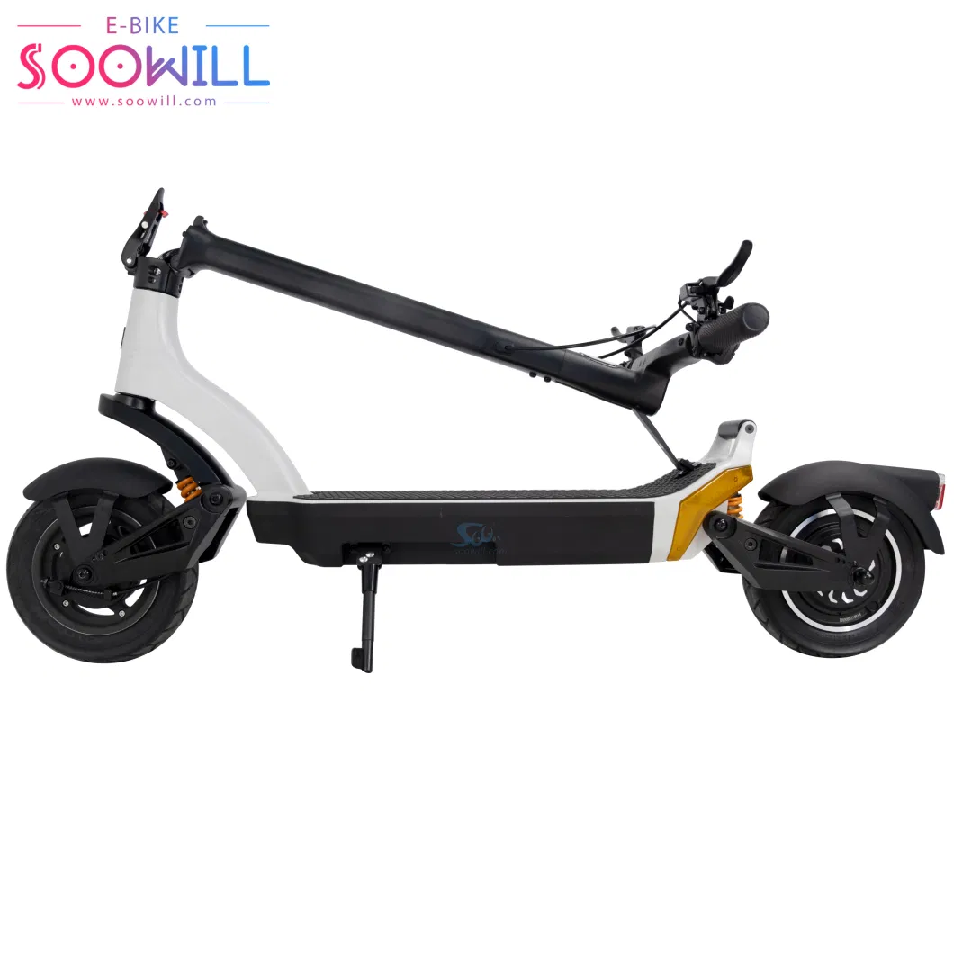 White Bike Bicycle Electric Dirt Bikes 48V 13.5ah (Chinese Lithium Battery/4500mAh) Electric Scooter