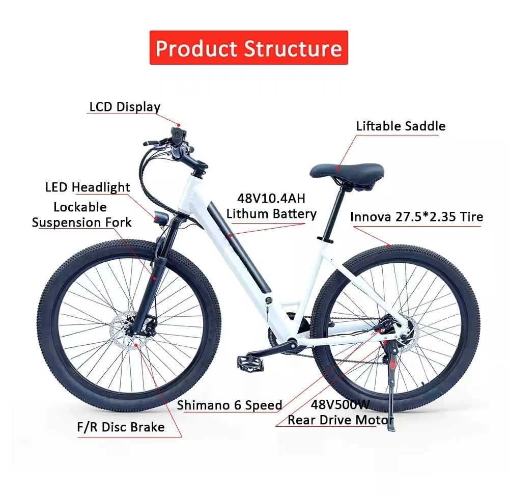 48V13A 500W Rear Motor Electric Bike, Electric Bike Kit, Fat Electric Mountain Bike