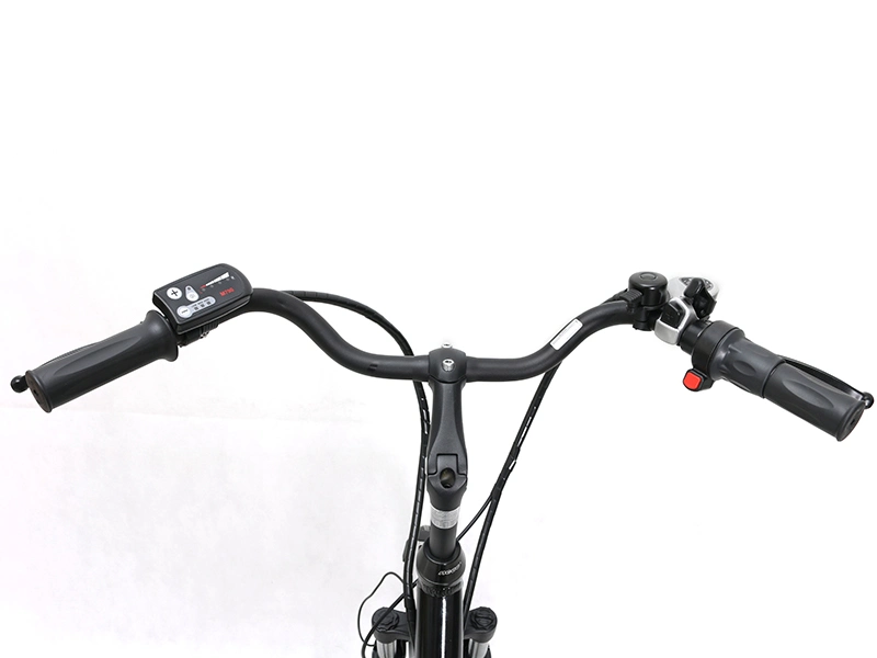 Hot Sale 24inch Electric Bike with High Quality