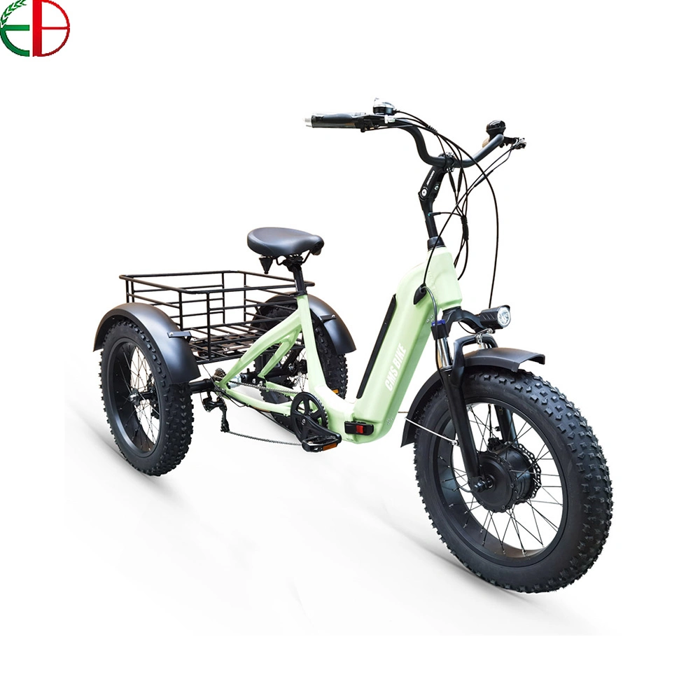 250W 3 Wheel Electric Tricycle Electric Motorcycle Electric Scooter Electric Tricycle