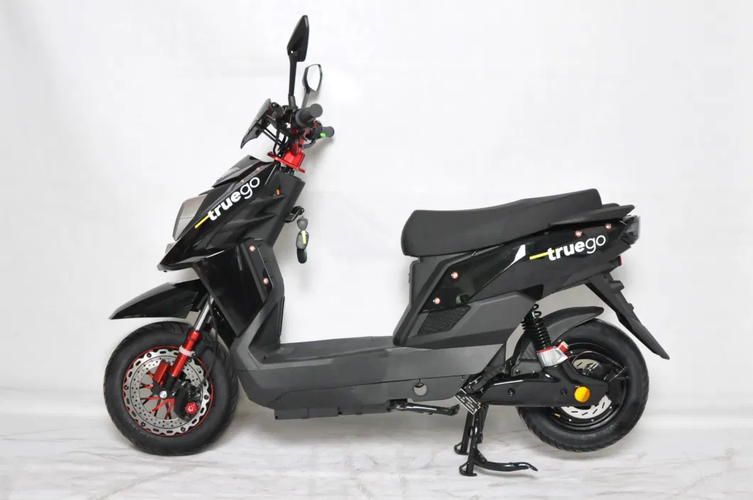 Yologo Electric Motorcycle with 1000W Electrical Bicycle Scooter Adult