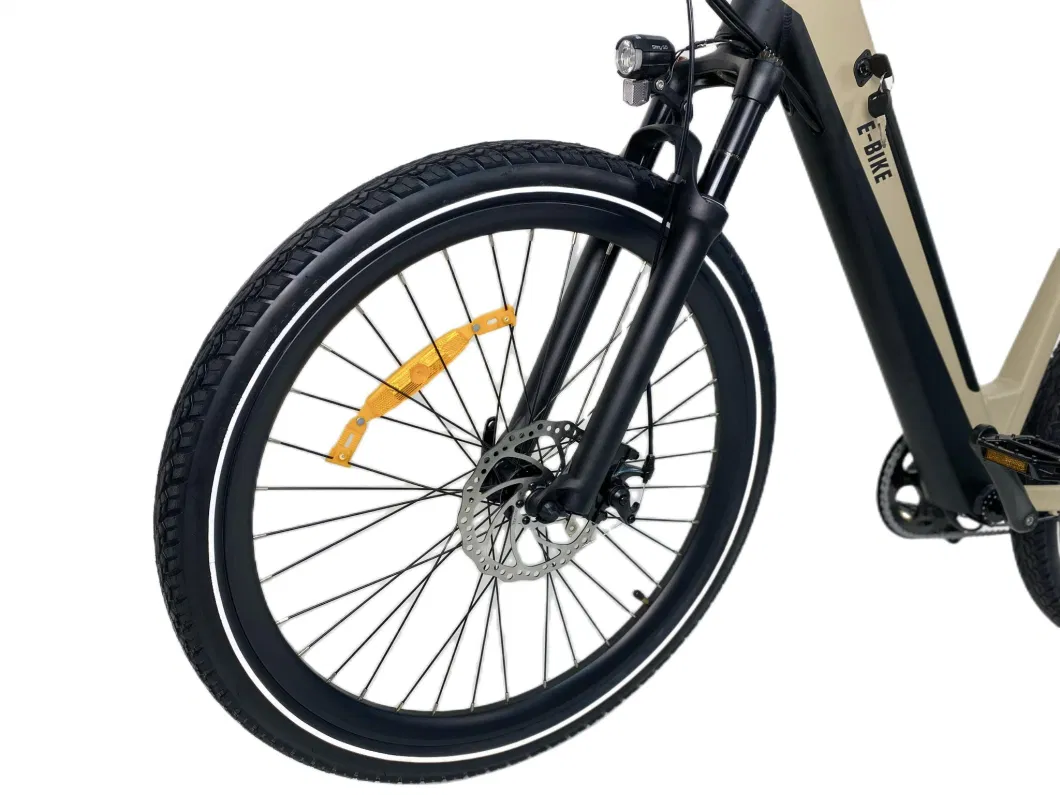 Queene Customized New Retro Electric Bicycle Adult Electric Bike with Suspension