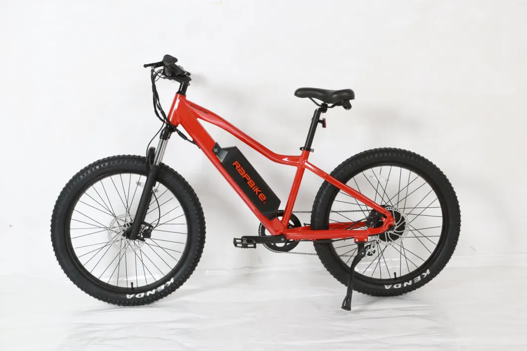 Am2605large Capacity Lithium Battery Fat Tire MTB Ebike in Stock for Adult Two Tire