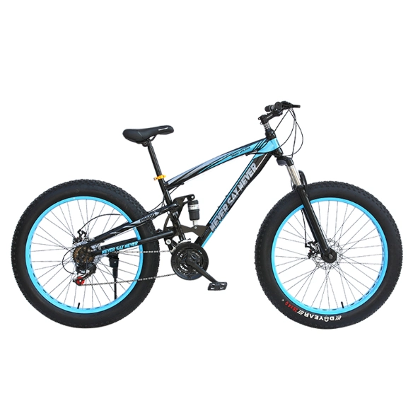 High Quality High Carbon Steel Frame Folded Bicycle Mountainbike for Young People