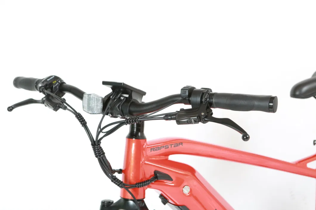 Fat Tire Rear Drive 750W Mountain Ebike in Stock