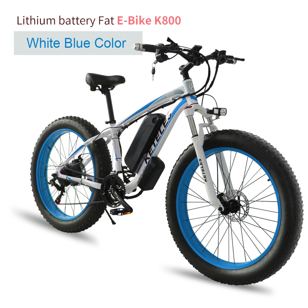 Electric Bike 36V 250W 48V 500W Fat Tire E-Scooter for Adult