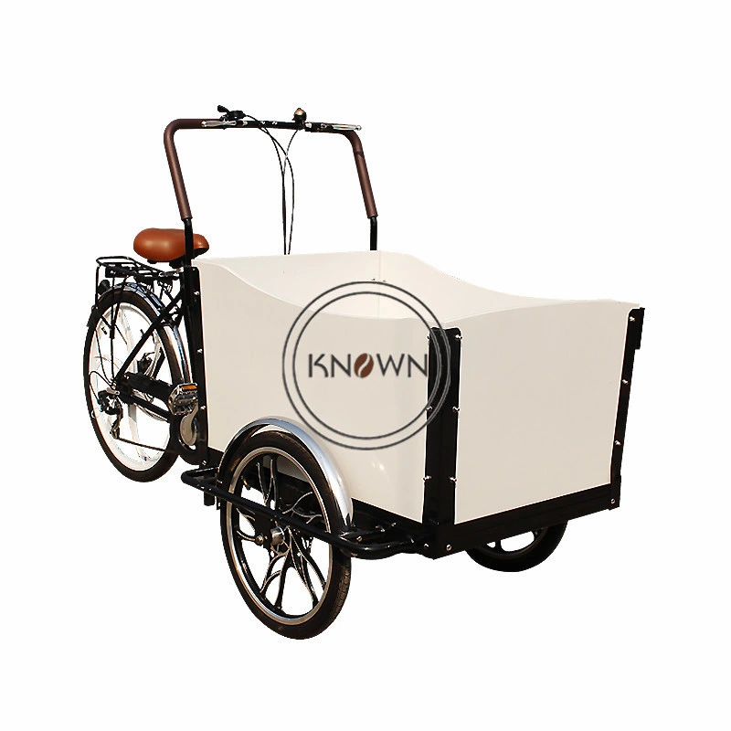 Factory Price Sale Cargo Currier Tricycle Bike Electric Cargo Bicycle Food Bike in China