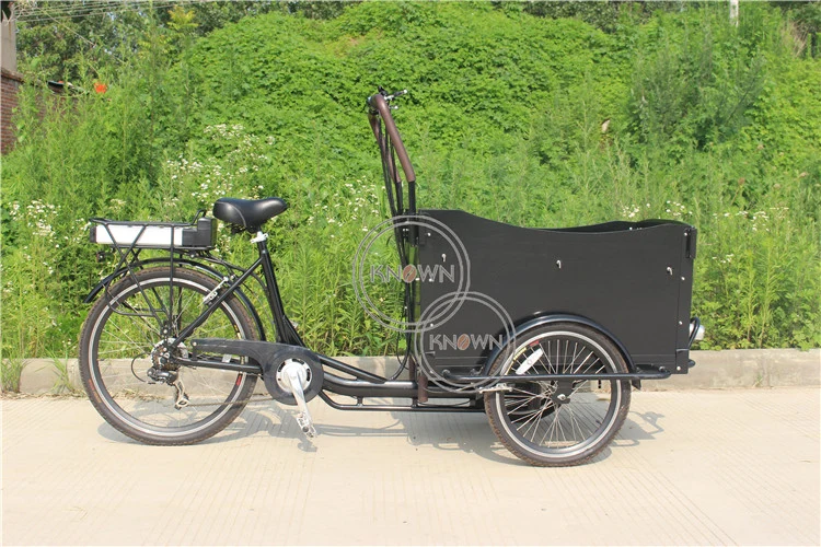 Factory Price Sale Cargo Currier Tricycle Bike Electric Cargo Bicycle Food Bike in China