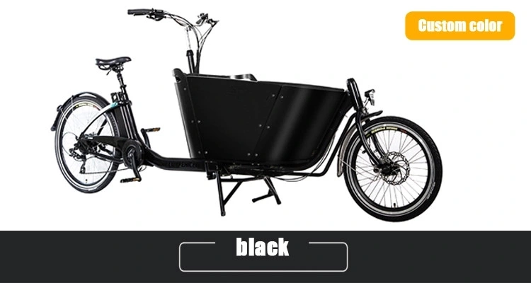China Made Europe with CE Electric Two Wheel Cargo Bike