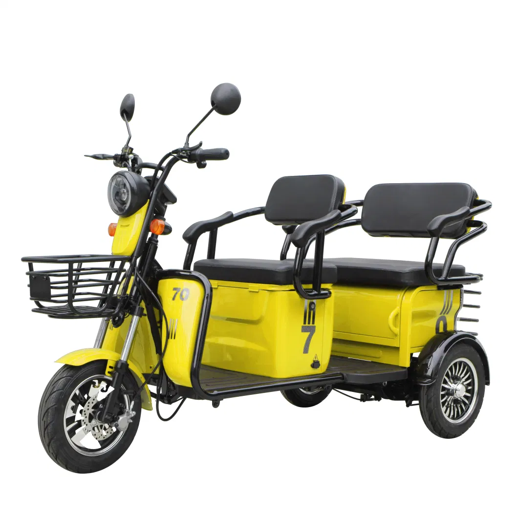 3 Wheel Electric Scooter Motorcycle for Elder Two Adults Electric Tricycle Bicycle