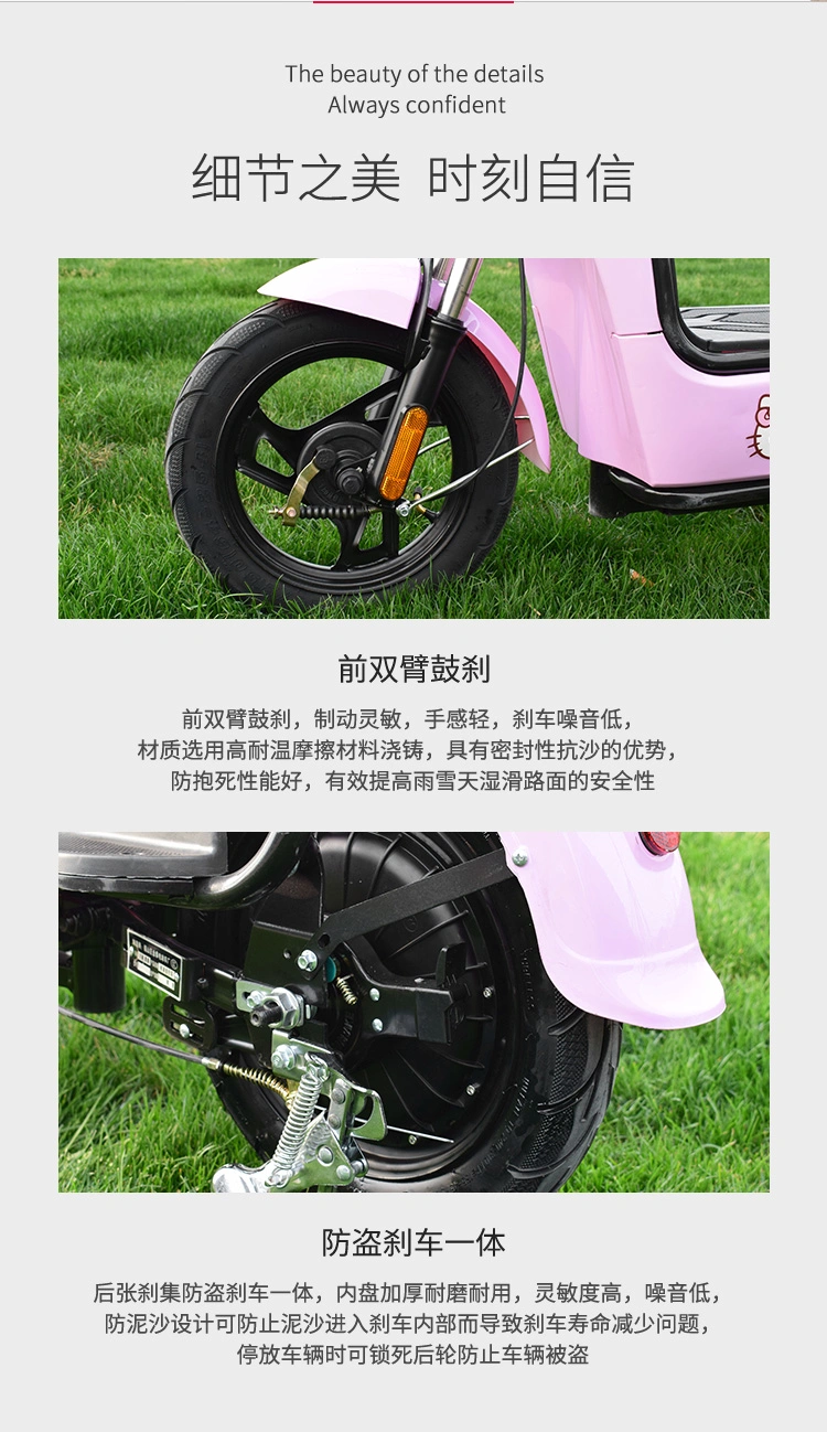 Fashion Electric Bike for Men and Women