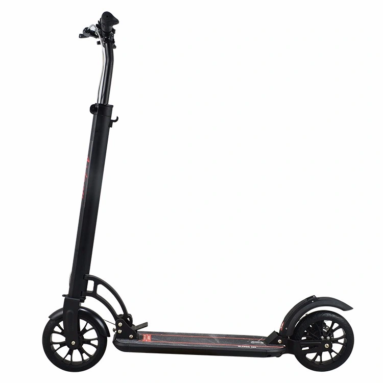 Outdoor Adult Kick Bike 2 Wheels Scooter with Big Wheel