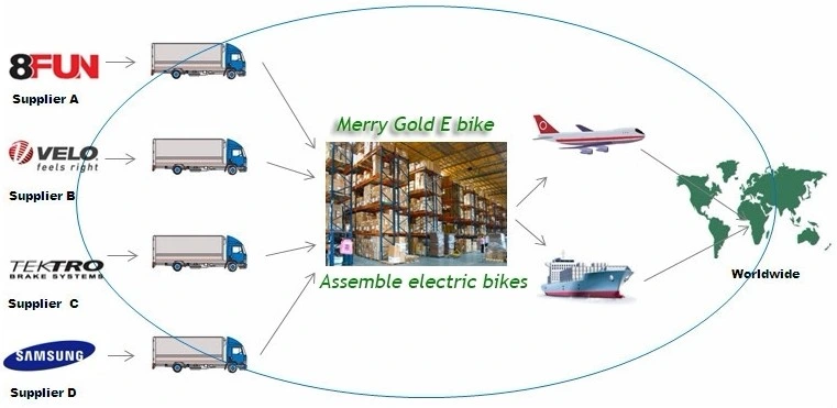 Electric Cargo Trike for Disabled with Fat Tyres