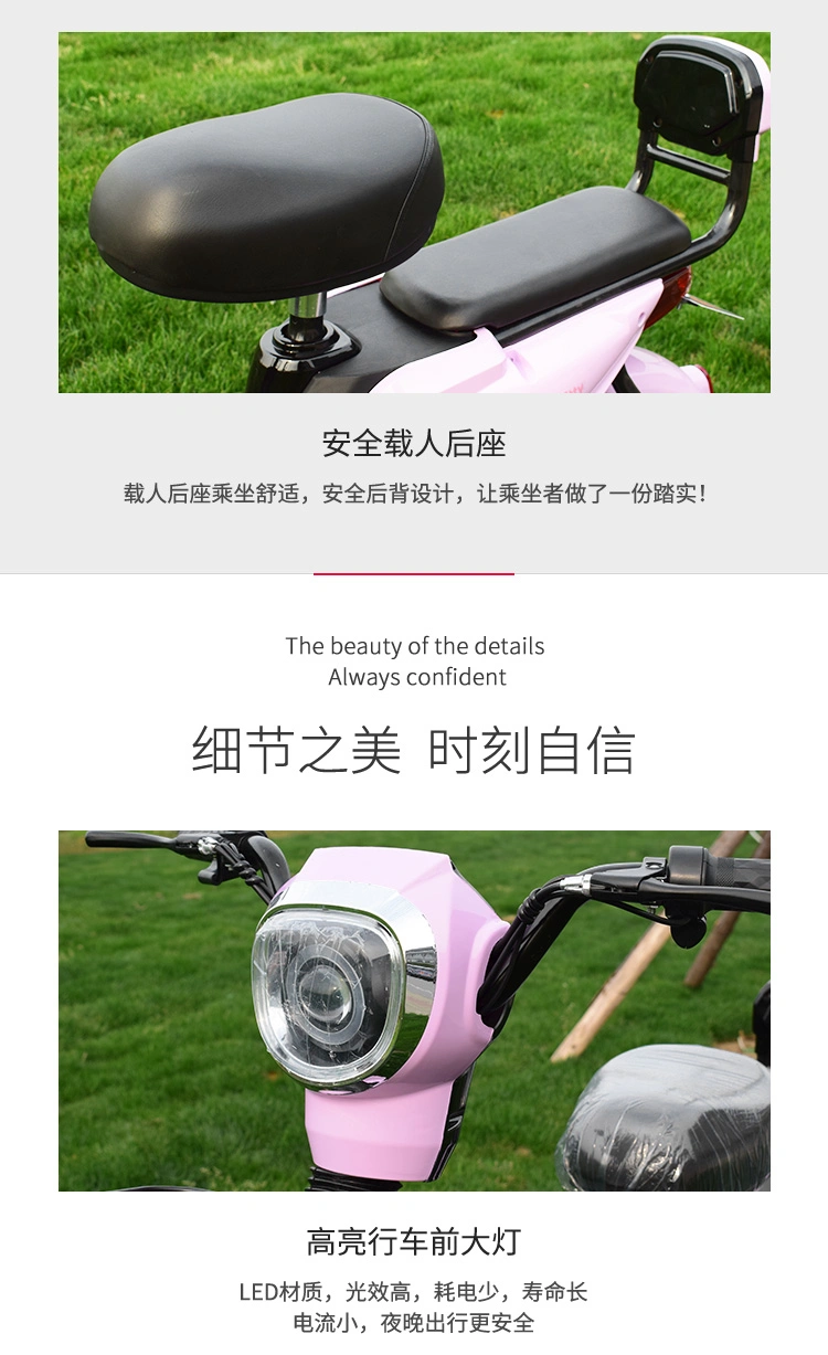 Fashion Electric Bike for Men and Women