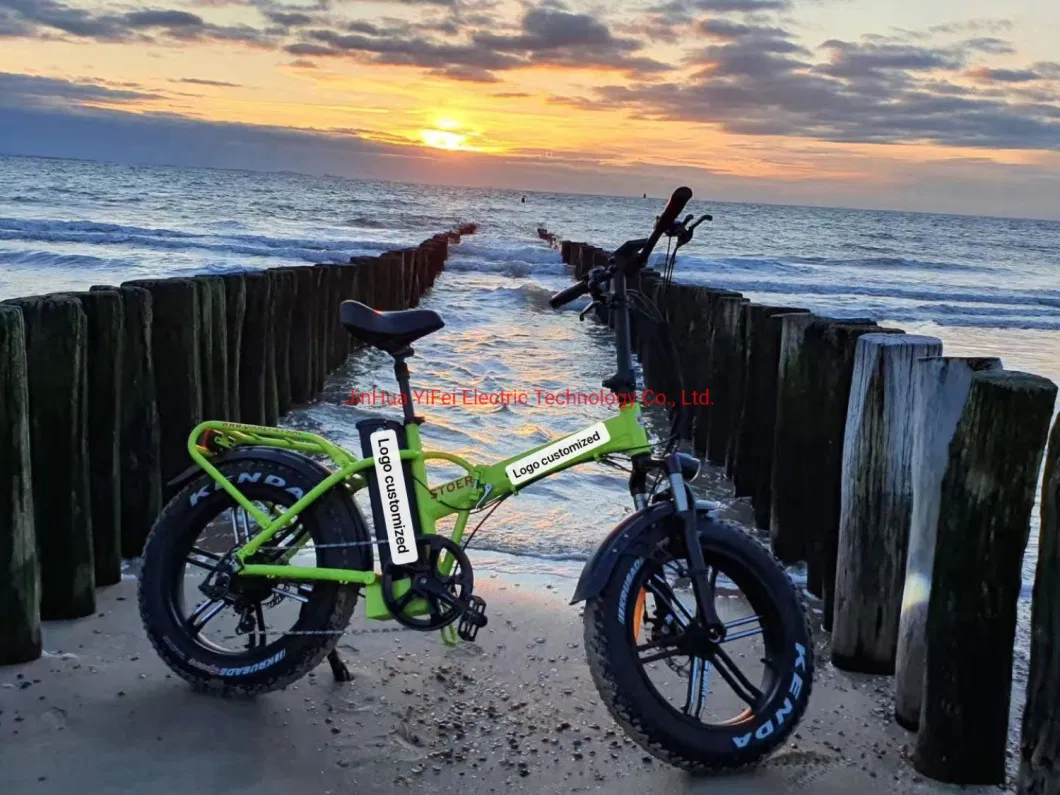 20 Inch Folding Fat Electric Bike with Lithium-Ion Battery MTB Bicicletta Elettrica